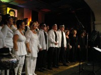 /album/fotogalerij-concert-mj-12-juni/dsc00944-jpg1/