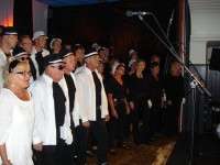 /album/fotogalerij-concert-mj-12-juni/dsc00985-jpg1/