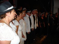 /album/fotogalerij-concert-mj-12-juni/dsc00986-jpg1/