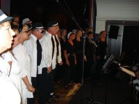 /album/fotogalerij-concert-mj-12-juni/dsc00987-jpg1/